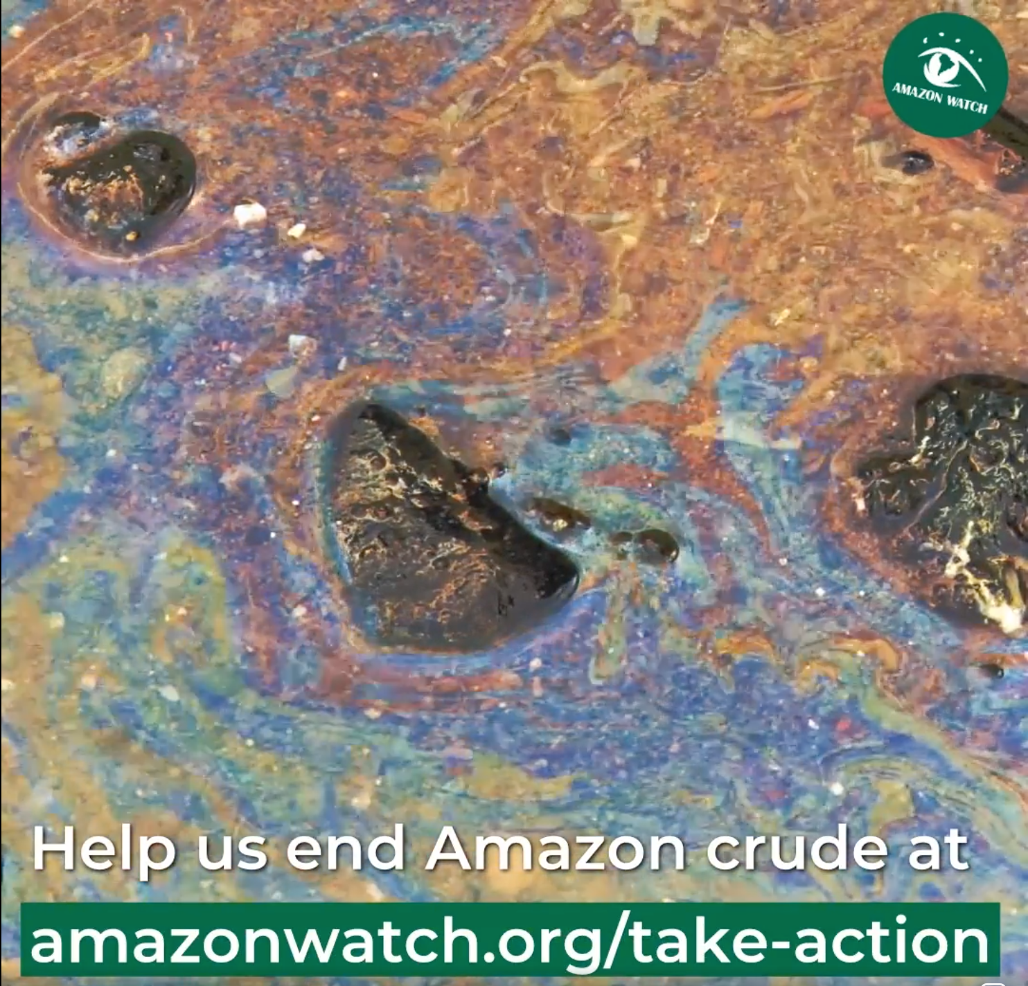 How Amazon Watch is Inspiring Action with Video Storytelling