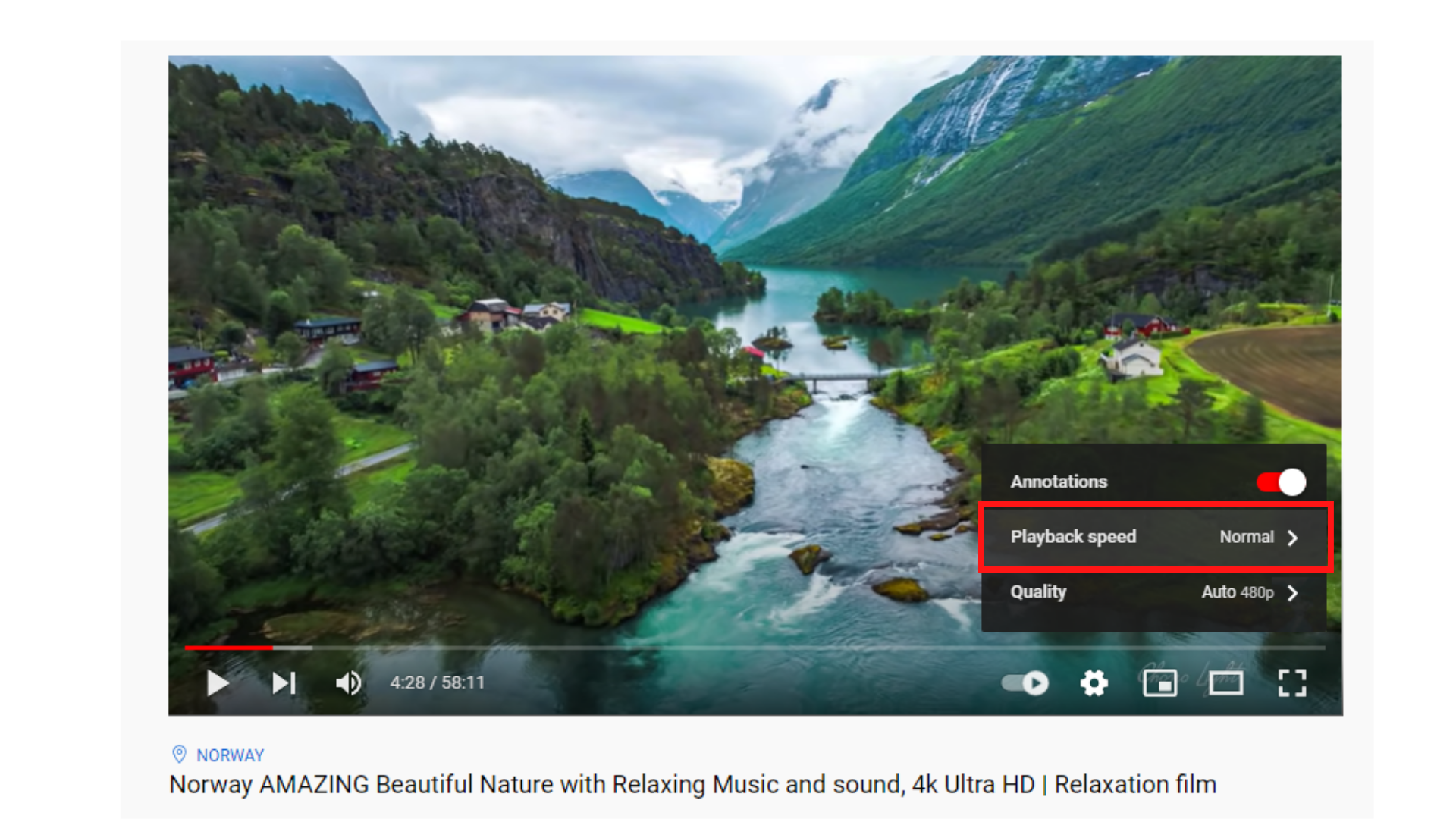 An image of a YouTube video playing with Playback speed option highlighted.