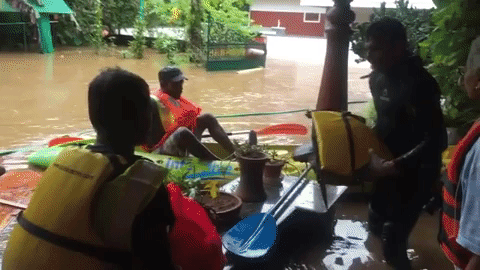 Matthew's family rescued during the floods