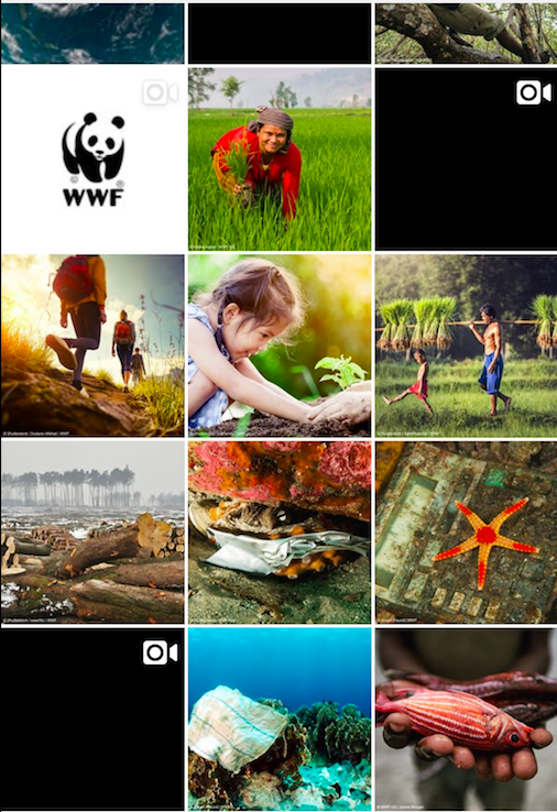 Instagram WWF
