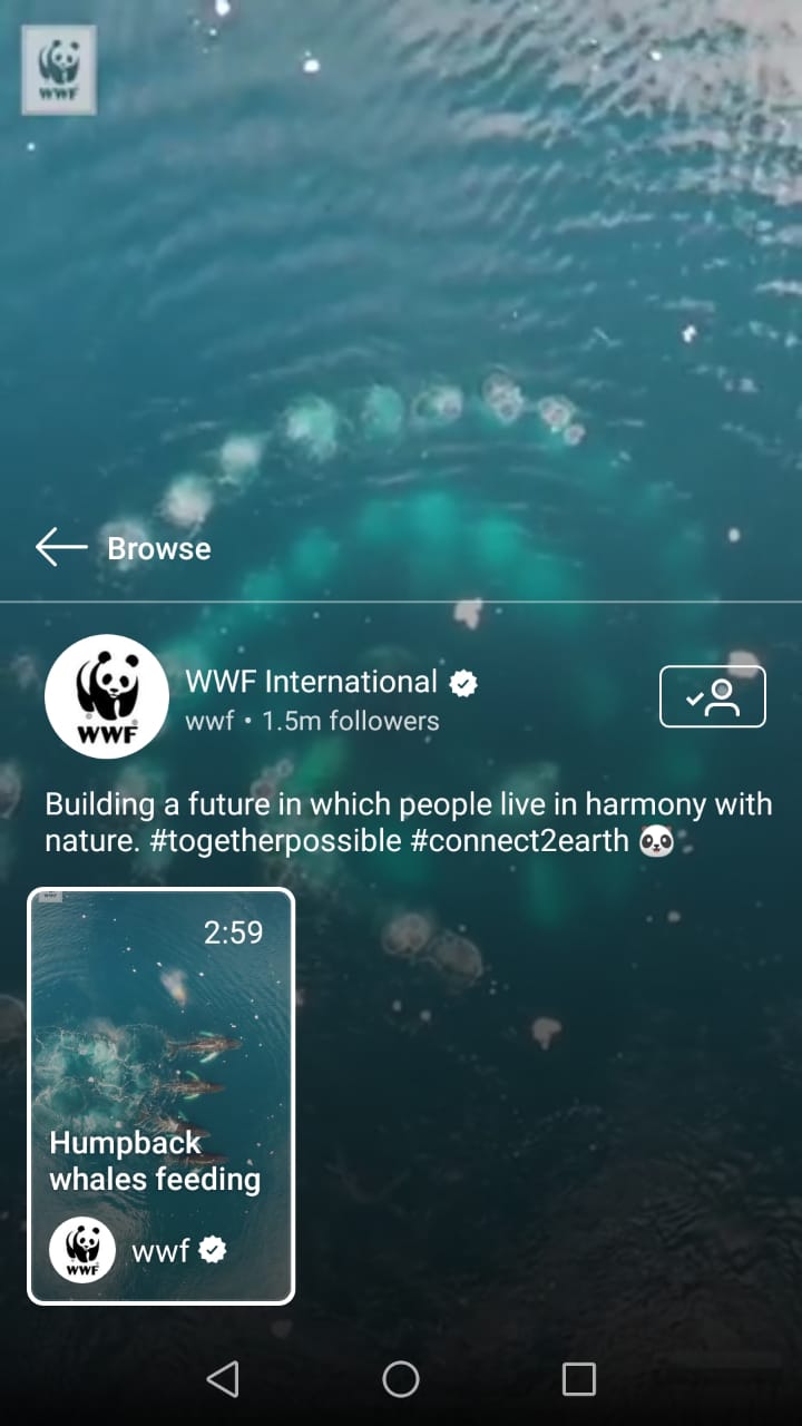 WWF IGTV
