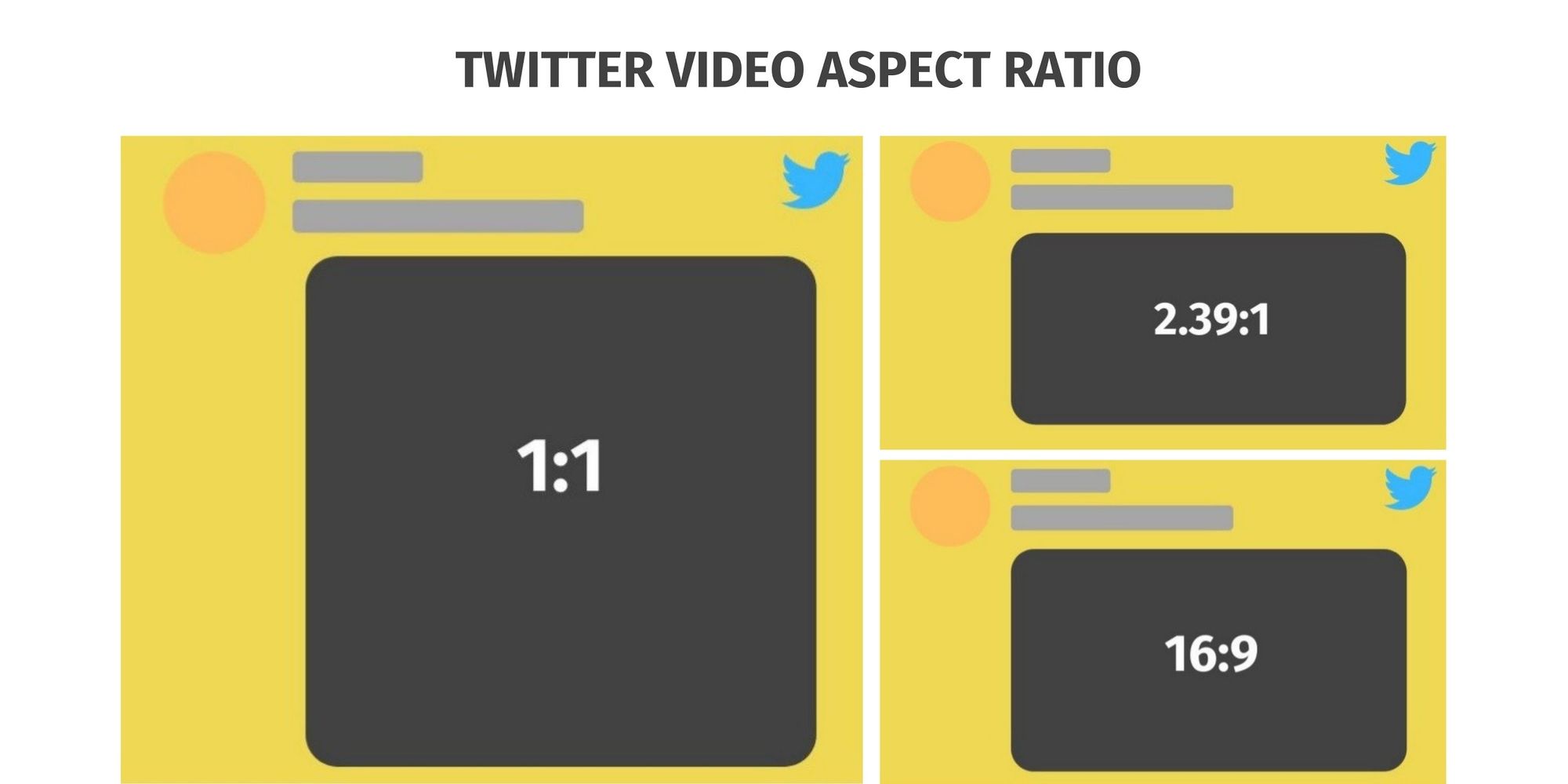 Twitter Video Requirements: Twitter Video Aspect Ratios