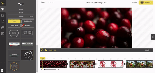 Online Video Editor Instagram Videos GIF by Typito - Find & Share on GIPHY